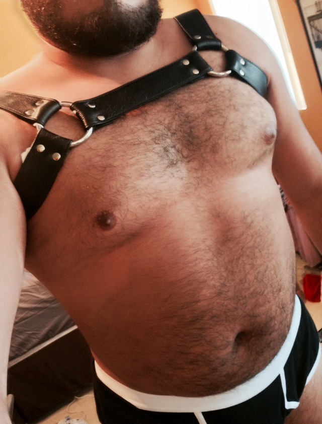 rone9:  poundyouorme:  kabutocub:  mrrobotico:  New harness. Thanks sale.  HO.LY.FUCK