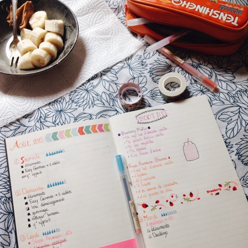 4.08.2015 // I Love Bullet Journaling :~) Ft. Bad Doodles