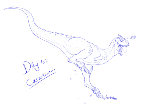 I forgot to post these, but here’s my incomplete attempt at last year’s Dinovember. Hopefully this y