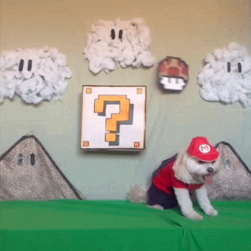 nintendroid:  If nothing else makes you smile today, this will. via Marlo Meekins