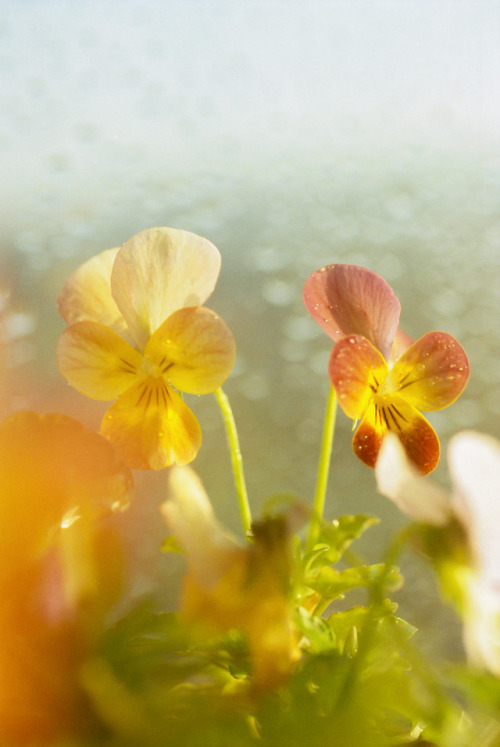 2018Photography by Li Hui