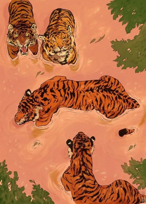 Tiger Beach art print by Vincent Cecil