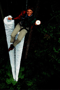 historicaltimes:  &ldquo;This CD-ROM can hold more information than all the paper that’s here below me&rdquo;- Bill Gates,1994 