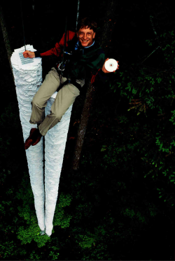 blazepress:  “This CD-ROM can hold more information than all the paper that’s here below me”- Bill Gates,1994