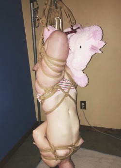 princesssparklecunt:  Rope suspension featuring a fluffy pink unicorn. Hanging upside down is always more fun when you have a friend. please only reblog with caption intact  