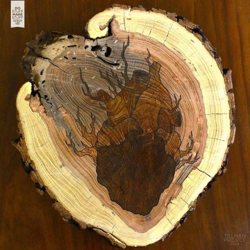 chechitout:  “I need a kind of grace I don’t even know how to give” (pen & wood stain on a section of stump from an old tree that used to stand in the back yard)