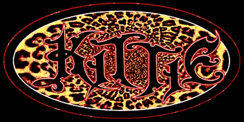 Cheetah Print