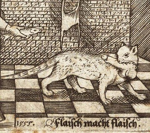 mudwerks:  blackpaint20:  16th century #cat running about with some guy’s penis And there is a barga