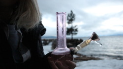 frost-weed:chill smoke sesh in Lake Tahoe,