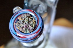 bongrips4satan:   parunga:  That purp (: