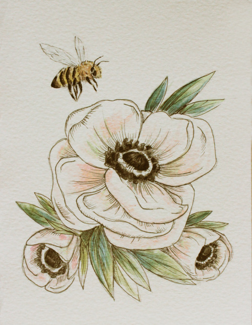 samanthaestherartwork:Anemones and Honey BeesWater color and ink