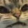shiftythrifting:hilariouslife:And that&rsquo;s not rain.If you gonna make bad
