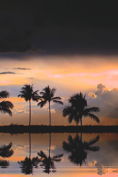 wearevanity:  A day by the beach.. • 