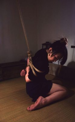 justscreenshots:  Shibari &amp; Photo Julien LacomaModel Asa Hane