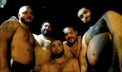 beefymenforme:  Those bears….that belly… 