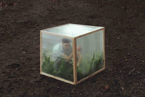 gdbot:  joeinct:  Greenhouse, Photo by Kyle