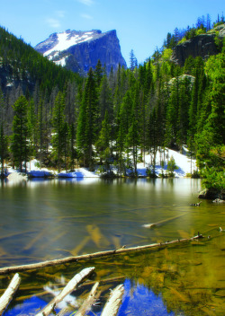 about-usa:  Nymph Lake - Rocky Mountain National Park - Colorado - USA (von UnShuttered Soul~ Hola New Mexico!)