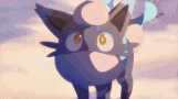 The Zoroark Line