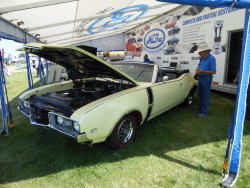 fromcruise-instoconcours:  Oldsmobile 442 convertible, once again showing there is plenty for car fans to check out at the world’s largest airshow.