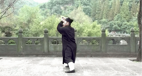 gabuwingchun:  Wudang Taiji Jian by Grandmaster Zhong Yun Long
