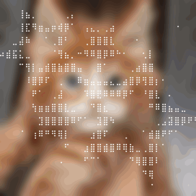  ◌ ⌯ 🍁 ꙳ ( ◡ ◡)