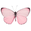rosy2014