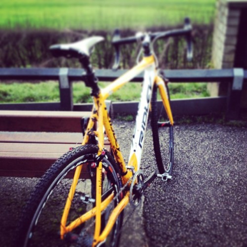 crossgram:  1st festive500 ride, short but sweet #Festive500 #cx #cyclocross #lifebehindbars by gazh