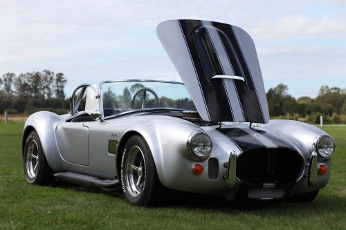 francescolt:  Ford Cobra 