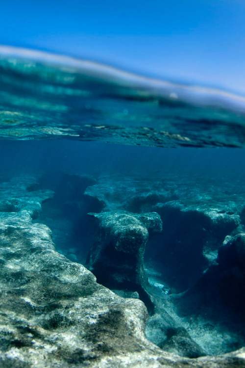 plasmatics-life:  Split Level Reef - {by Sean Davey} | {WebSite}