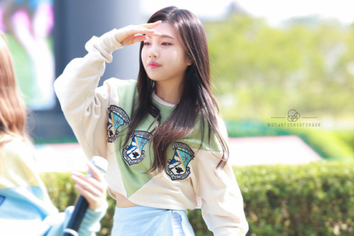 조이 6pic