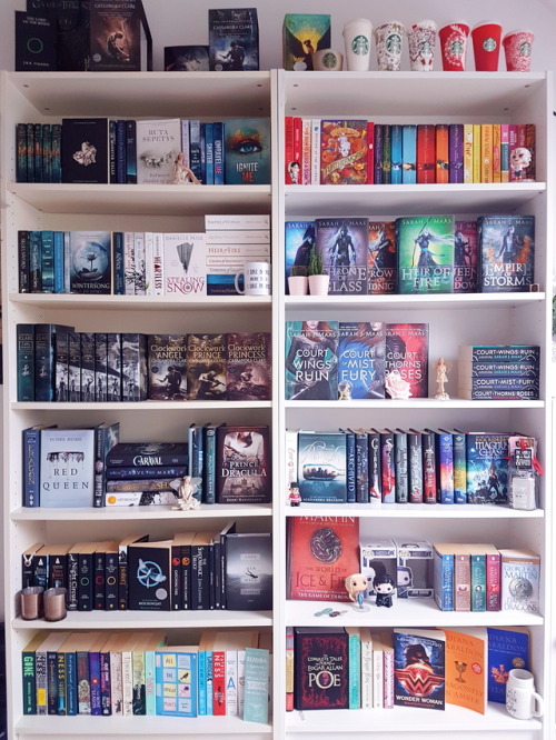 b00kishfantasy:Reorganized my shelves today