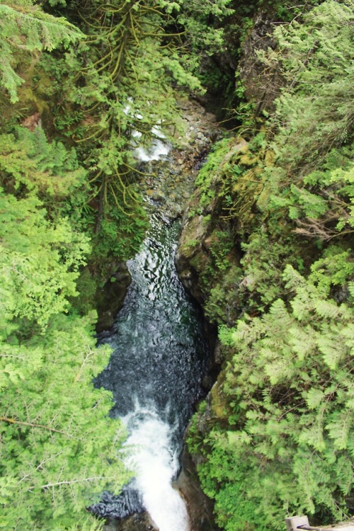 matchbox-mouse:Looking over the water at Lynn Canyon.