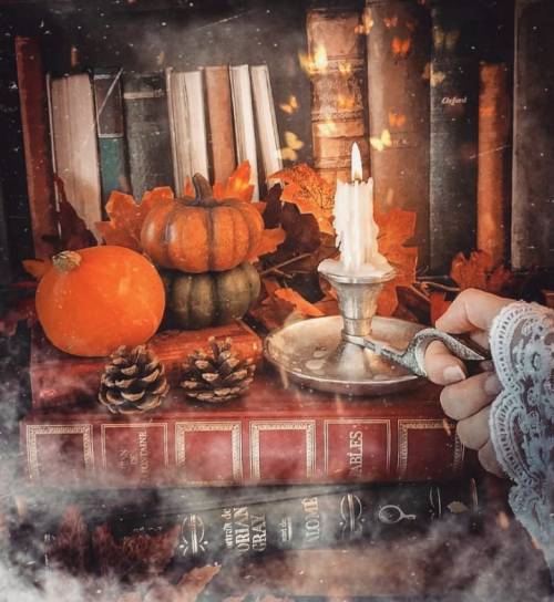 witchyautumns:   🍁  laetitia.arnould 🍁