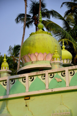 Mosque at Kerala, India. [x]
