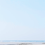 antimingyu:  seventeen mv aesthetics  