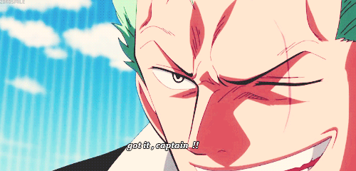 zorosmile:  Zoro vs pica 