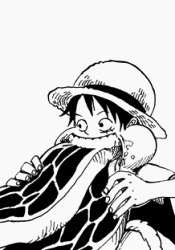 beif0ngs:  Luffy + Meat 