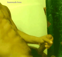 bannock-hou