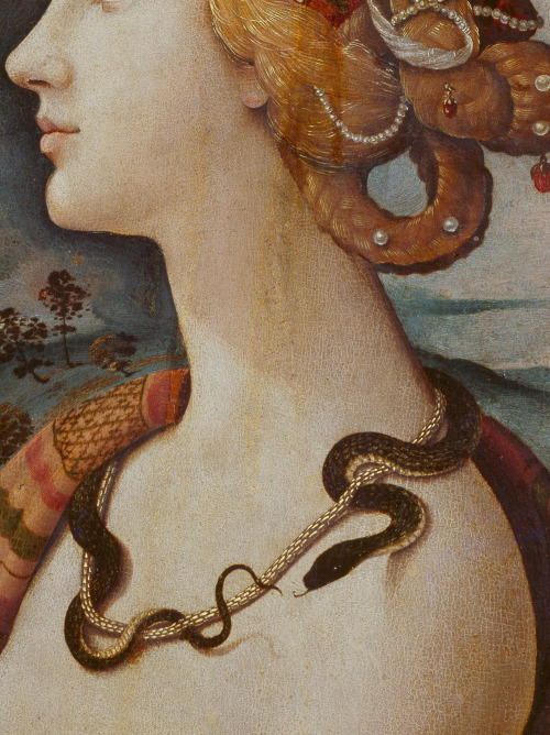 seeliequeene:Simonetta Vespucci (detail) Piero di Cosimo, 1490