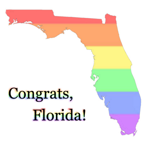 queer-all-year:  Congratulations, Florida, on becoming the 36th state with marriage equality!
