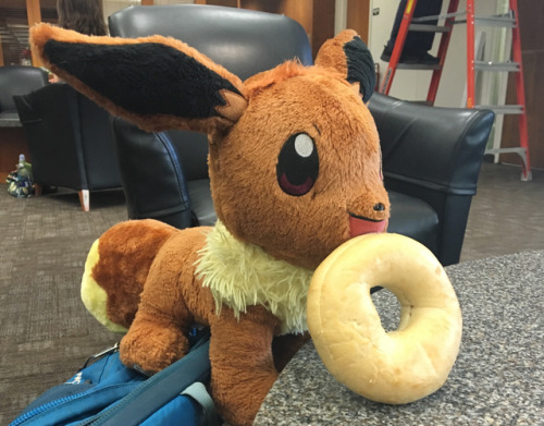 maybe-eevee: nattikay: a wild @maybe-eevee appears Calder: “Maybe what ?” Maybe: “I has become one with the bagel, a soft foof !” Calder: “But you don’t taste as nice” Maybe: D:<  x3!