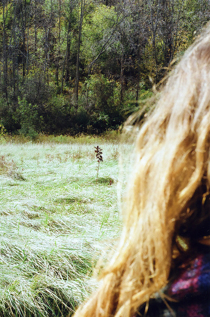 euphoricspirit:  untitled by ethan.tate on Flickr. 