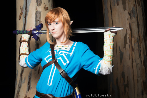 Champion LinkLegend of Zelda: Breath of the WildCosplay made and modeled by mePhoto by Coldbluesky P