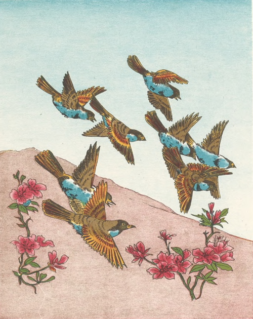 nemfrog:Birds with blue bellies in flight. Ornements du Japon. 1883. Internet Archive
