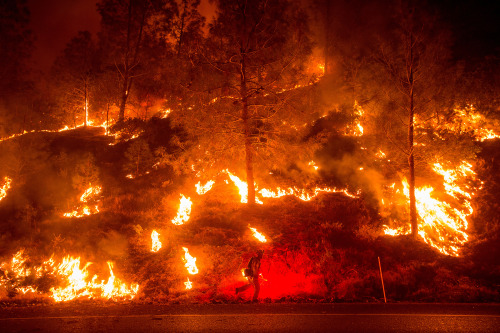 Dozens of wildfires are scouring California this summer in what may go down as the worst fire season