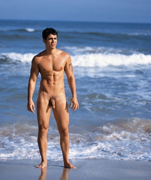 https://male-dreams-blog.tumblr.com/post/118597240025