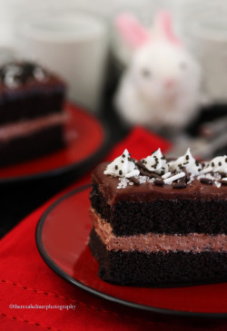 emerald753:  Dark Chocolate Fudge Cake http://theresahelmer.deviantart.comhttp://www.theresahelmerphotography.com/ 