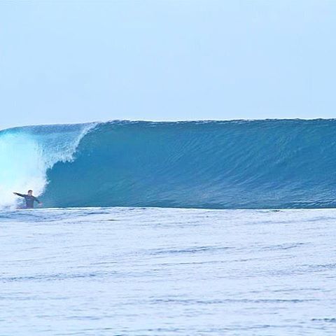 Sasha on a bomb last trip .. In the zone ⚡️ @hollywoodhoy #surf #overhead #inthezone #togatnusa #hig