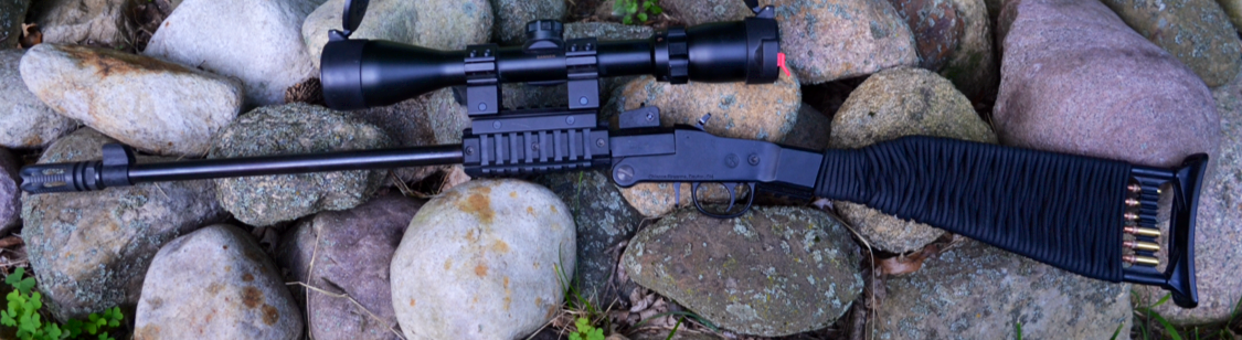 everydaycivilian:  &ldquo;Tactical Squirrel Getter&rdquo;  Chiappa Little