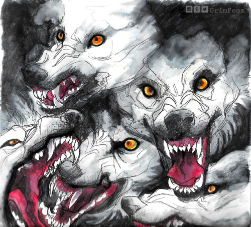 grimfemm:Some wolf teeth and watercolor.